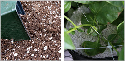 expanded perlite is widely used for horticultural and agricultural endeavors